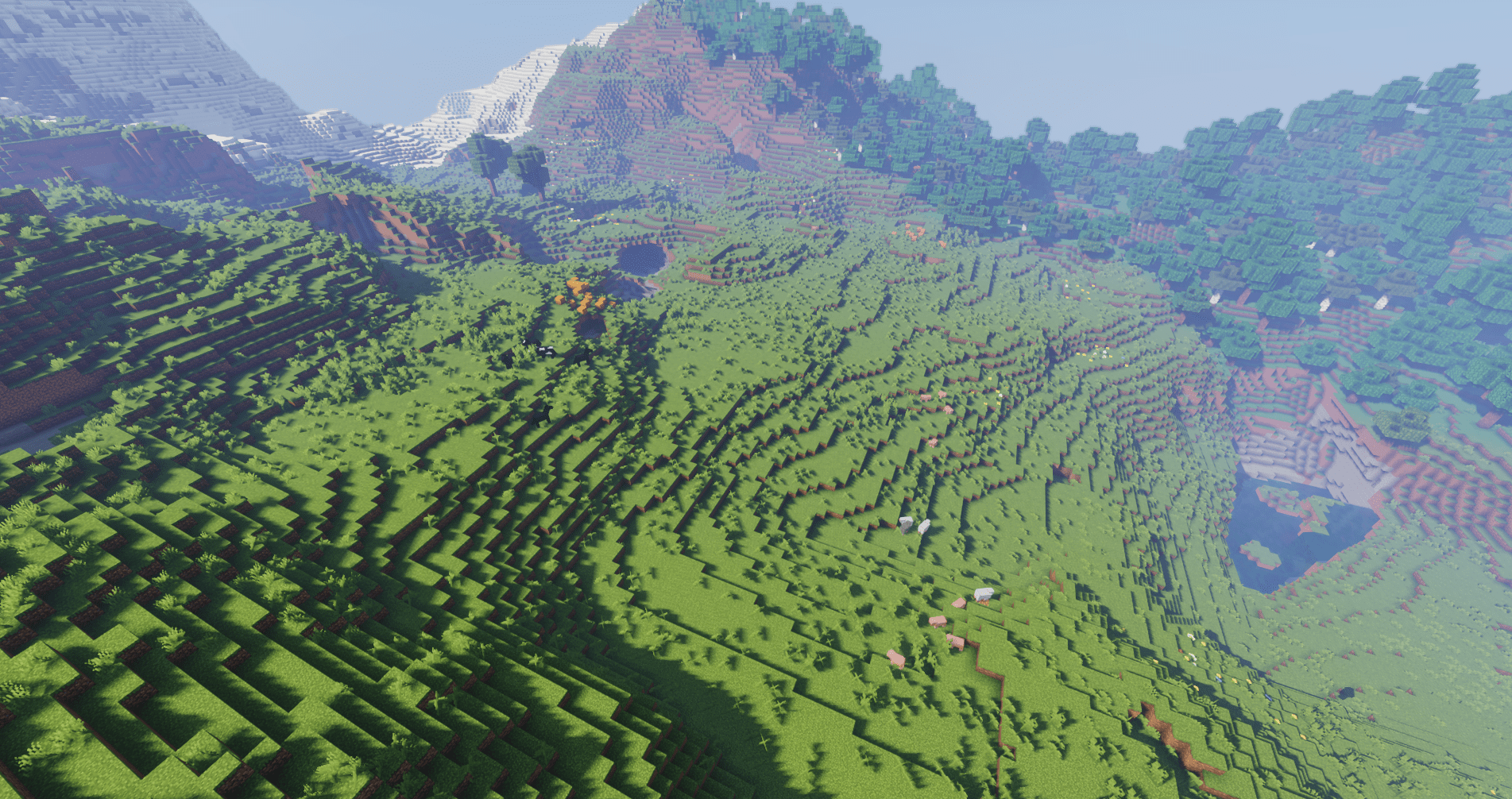 Picture of the plains biome in Minecraft