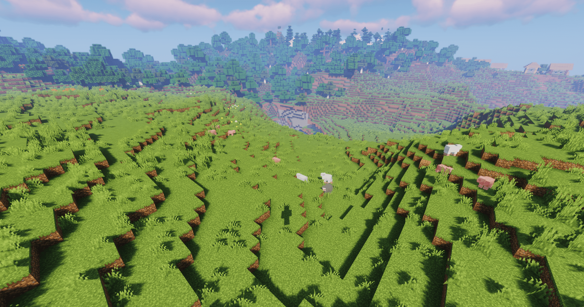 Picture of the plains biome in Minecraft