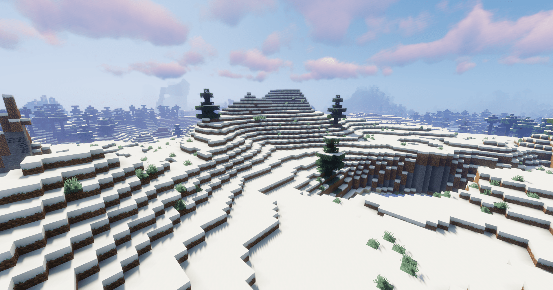 Picture of the snowy plains biome in Minecraft